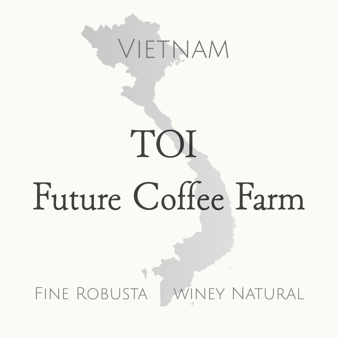 ベトナム ファインロブスタ ワイニーナチュラル