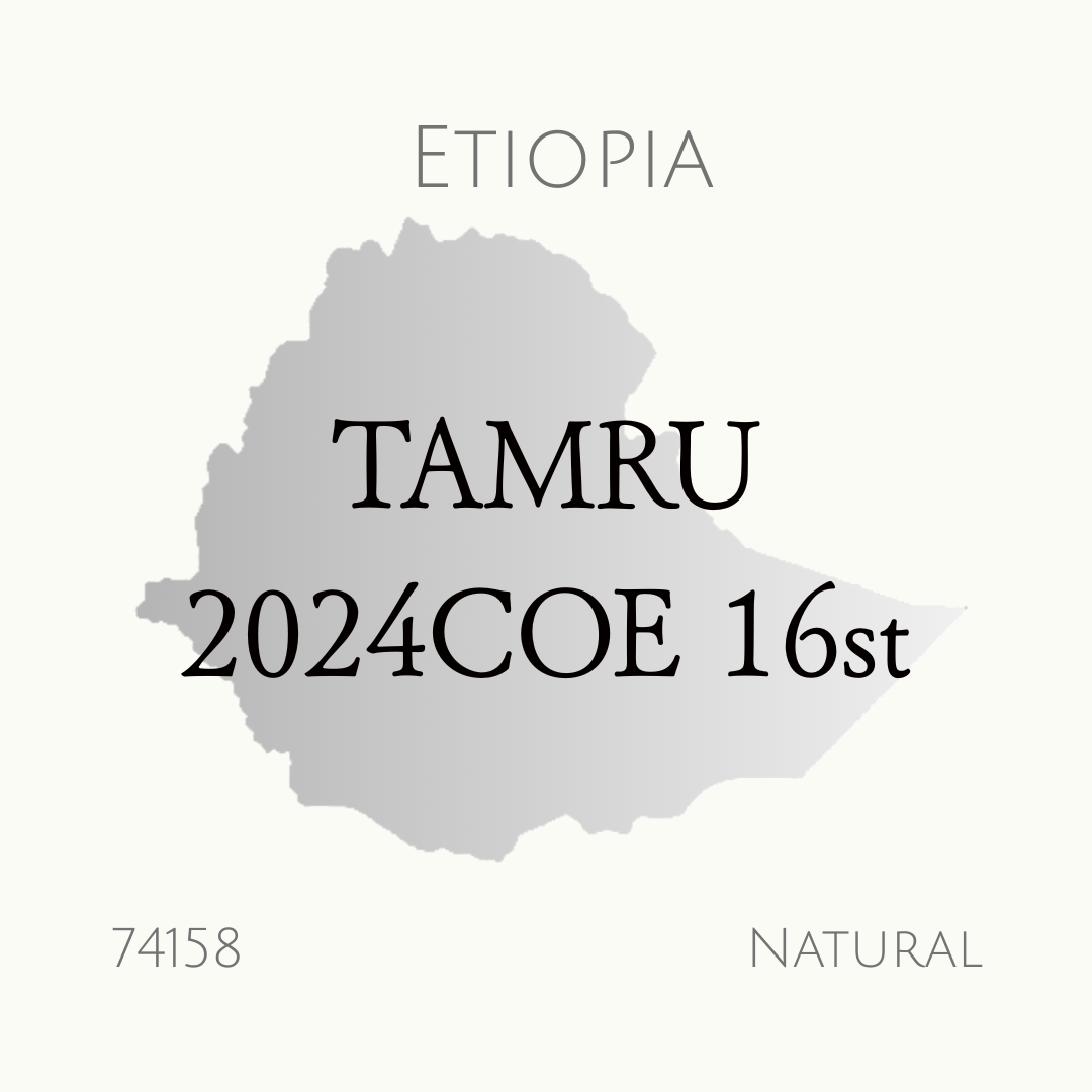エチオピア COE202474158 16位 ナチュラル