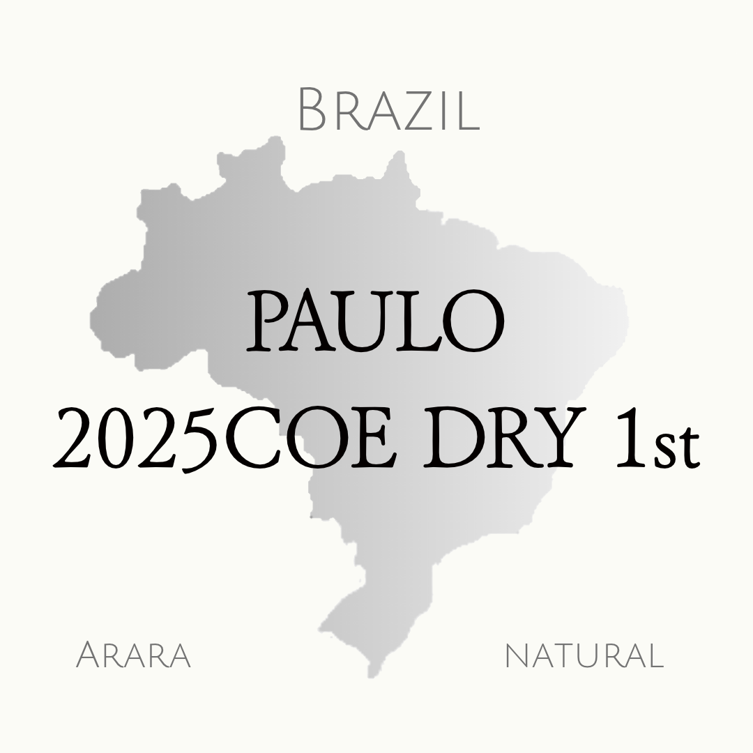 ブラジル　2025COE-Dry 1位　アララ　ナチュラル