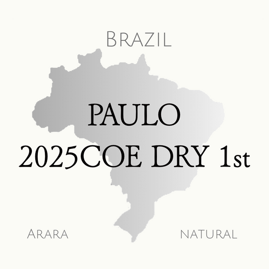 ブラジル　2025COE-Dry 1位　アララ　ナチュラル