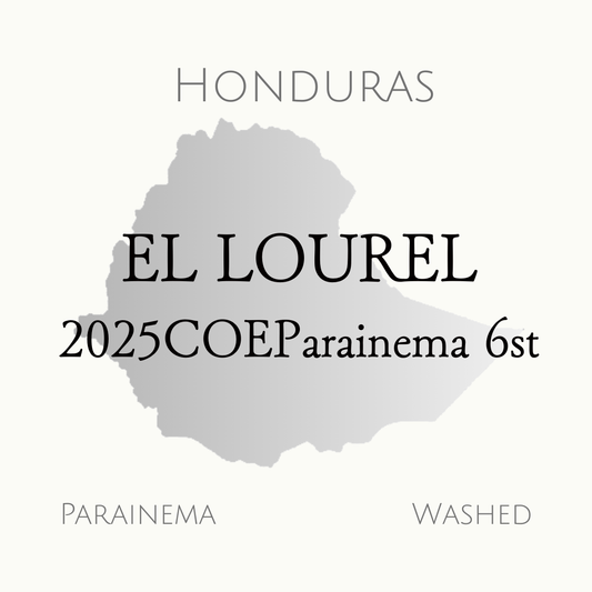 ホンジュラス　2025COE Parainema 6位　ウォッシュド