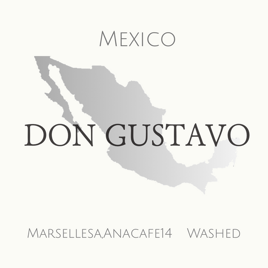 メキシコ　2025COE Traditional Washed 2位 ウォッシュド