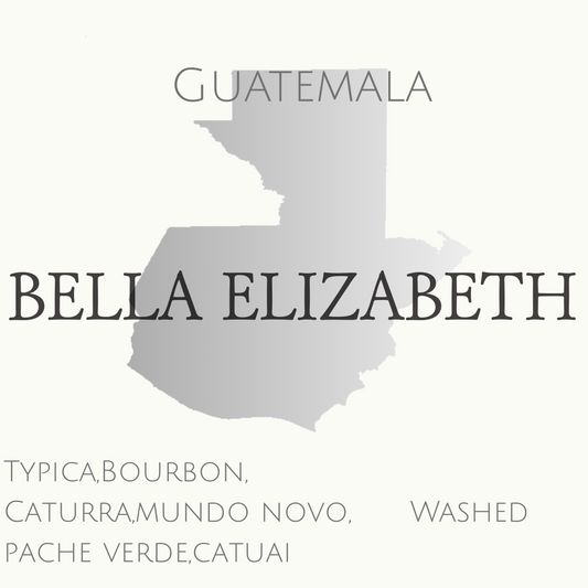 グアテマラ　2025COE One of a Kind 2位　ウォッシュド