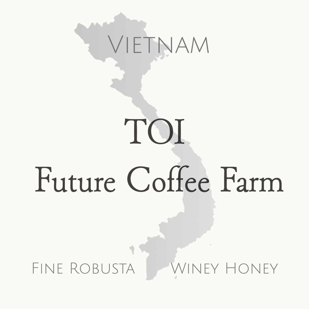 ベトナム　ファインロブスタ　ワイニーハニー