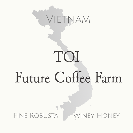 ベトナム　ファインロブスタ　ワイニーハニー