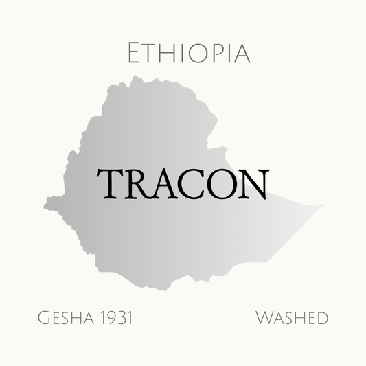 エチオピア　ゲシャ1931　ウォッシュド